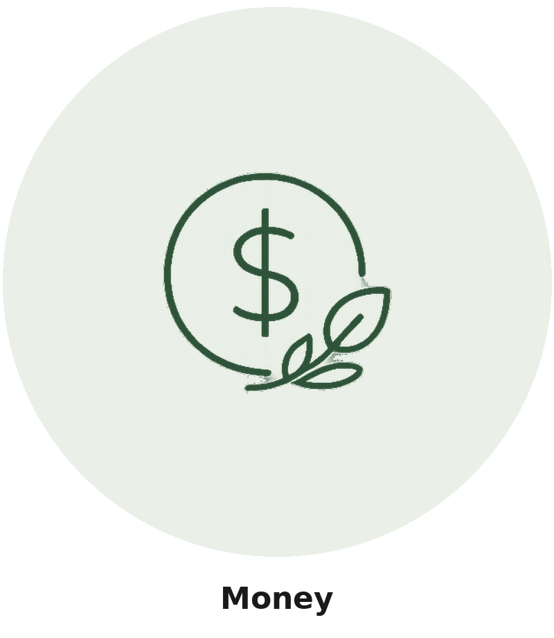 Money icon