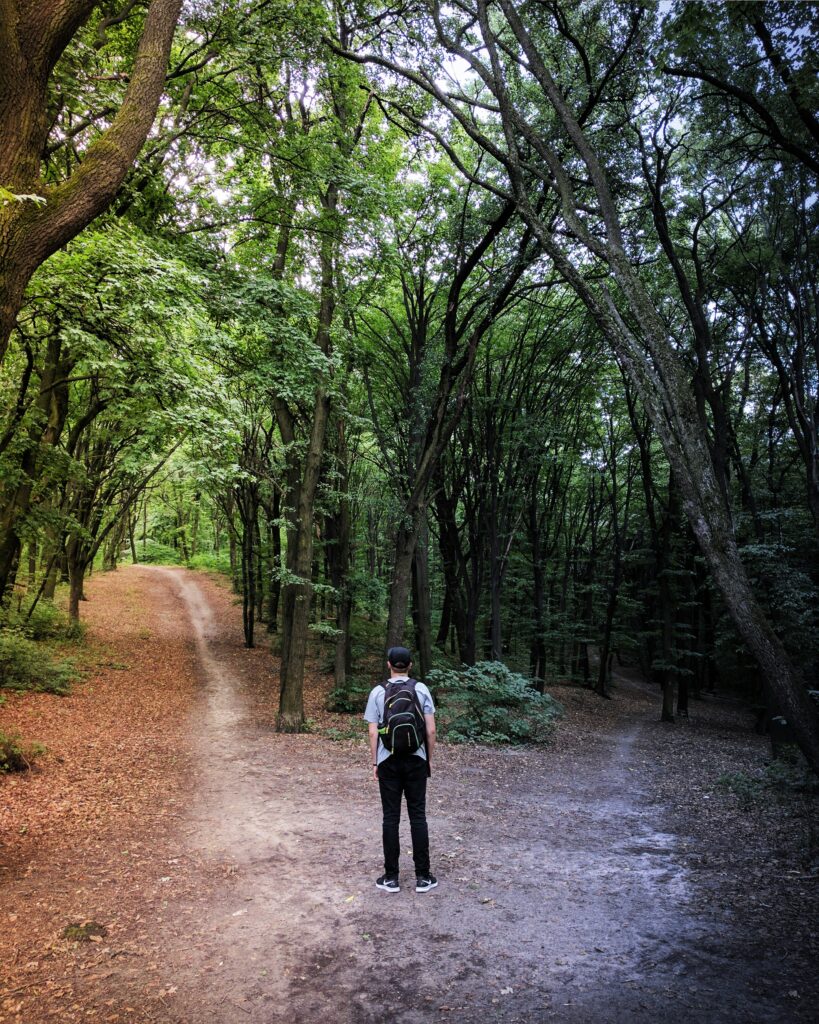 Person standing at a fork in a forest path, facing two directions