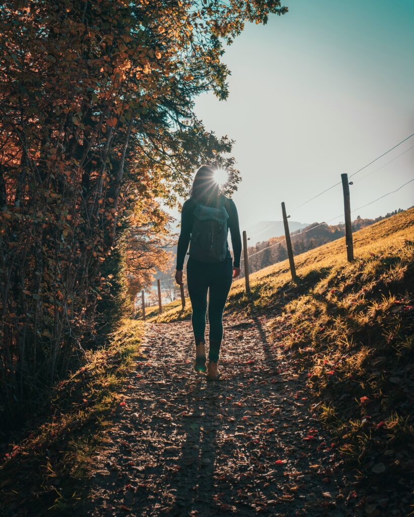 Person walking alone on a quiet forest path with a backpack